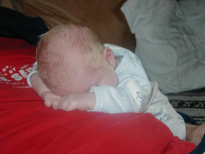 blaise sleeping on robs chest 01